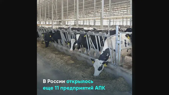 В России открылось еще 11 предприятий АПК