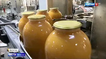 Абрикосы - как их собирают в Дагестане