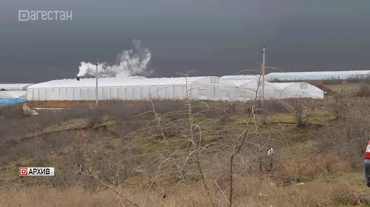 Дагестанского бизнесмена будут судить за кражу газа