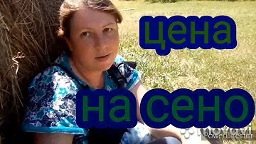 Цена на сено.  Почему оно столько стоит.