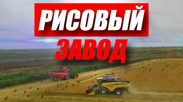 Как Перерабатывают Рис? Рисовый Завод в Дагестане / Антон Пермяков