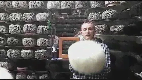 Папаха КАВКАЗСКАЯ, папаха Хабиба.