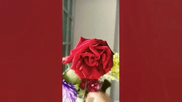 коньяк Кизлярский