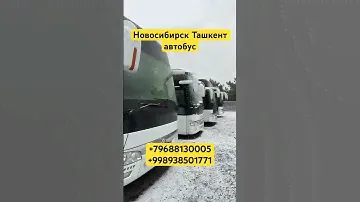Новосибирск_Ташкент_Автобус новосибирск-ташкент-автобус  novosibirsk tashkent avtobus