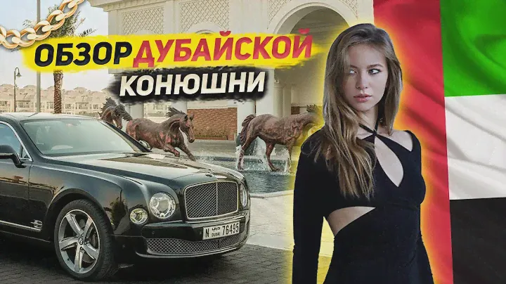 ЛОШАДИ ШЕЙХОВ / Дубайская конюшня королей 👑💰
