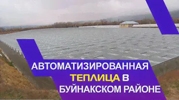 Автоматизированная теплица в Буйнакском районе