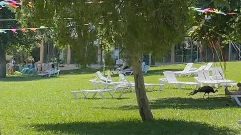 ОТДЫХ В САНАТОРИИ «КАСПИЙ»