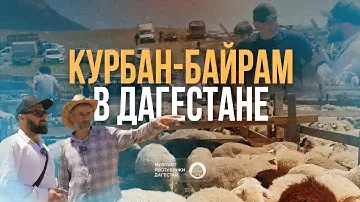 КУРБАН-БАЙРАМ В ДАГЕСТАНЕ
