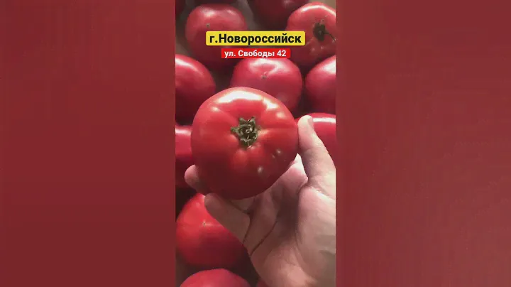 Дагестанский помидор
