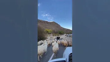 Пробки в горах Дагестана.