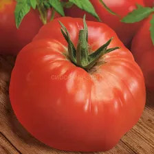 Помидоры розовые (Дагестан) 100гр.
