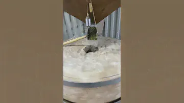 Самый лучшее лекарство от Глистов￼ это урбеч из Тыквенных семечек￼￼