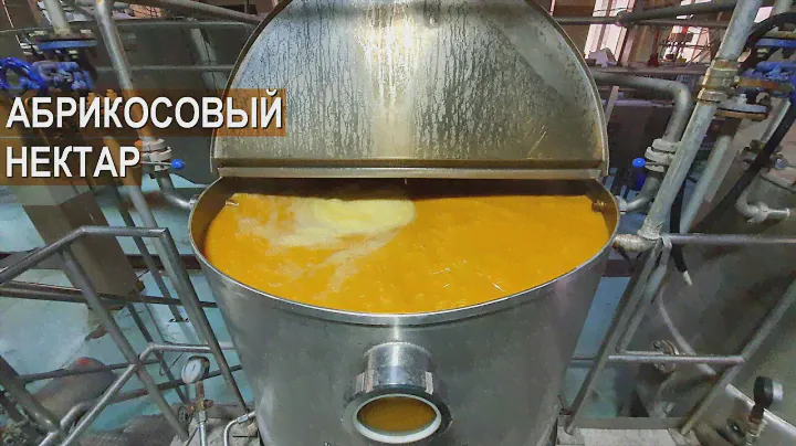 Производство абрикосового нектара. Кикунинский консервный завод.